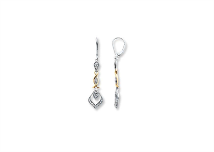 2 Tone Plated | Fashion Earrings